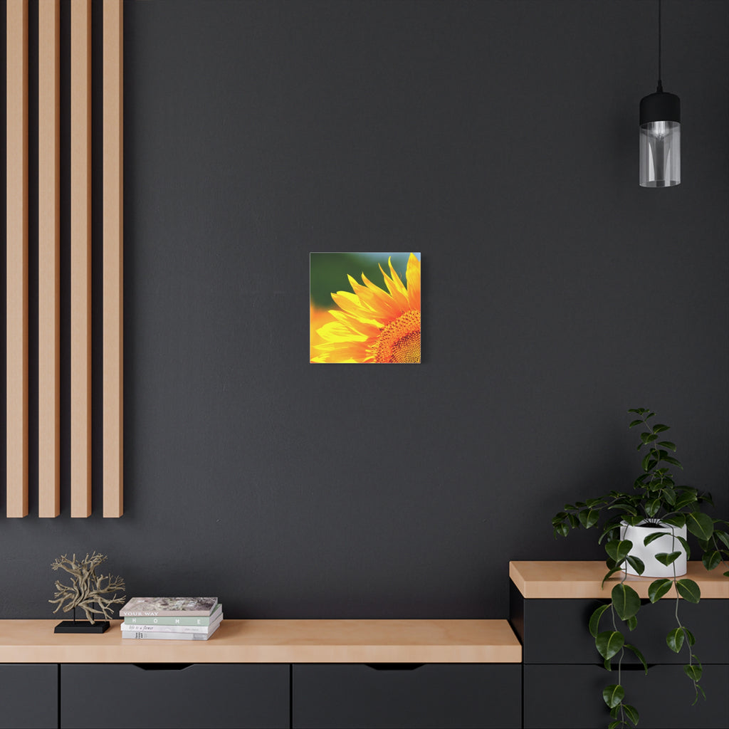 Sunflower Close-Up Matte Canvas