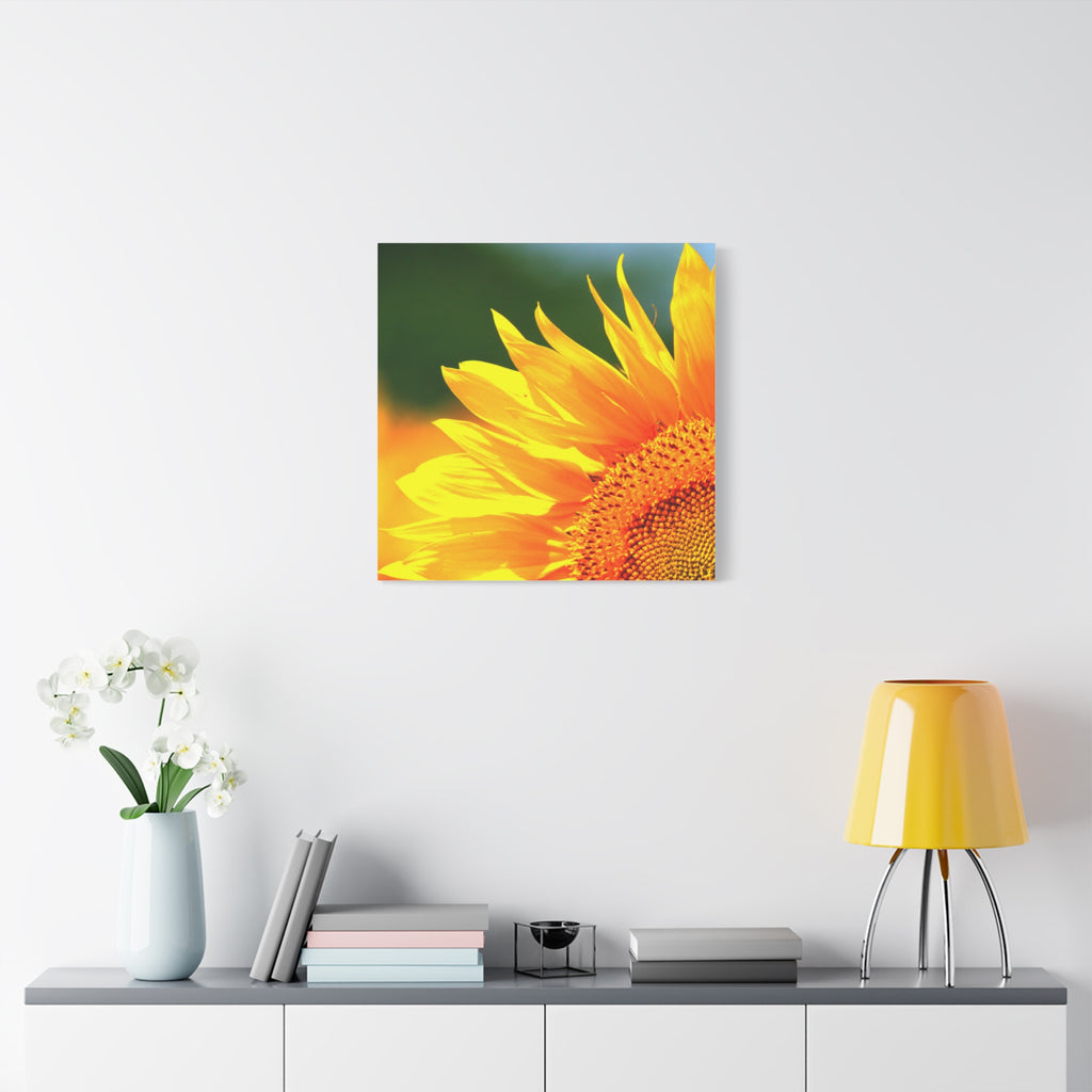 Sunflower Close-Up Matte Canvas