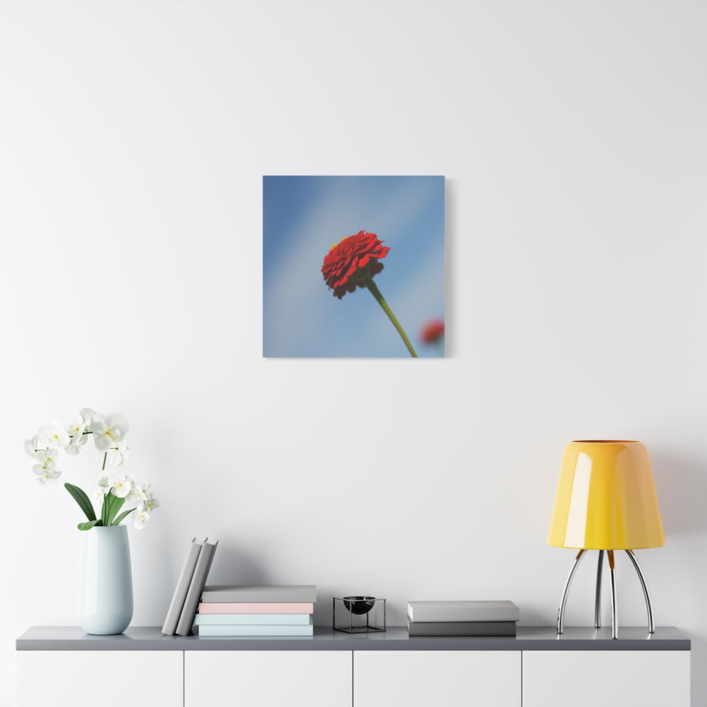 Red Zinnia Bloom Canvas | Stretched Matte Wall Art