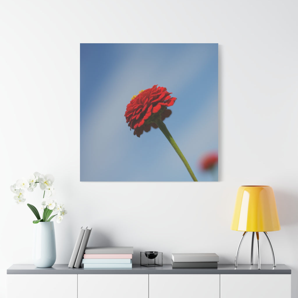 Red Zinnia Bloom Canvas | Stretched Matte Wall Art
