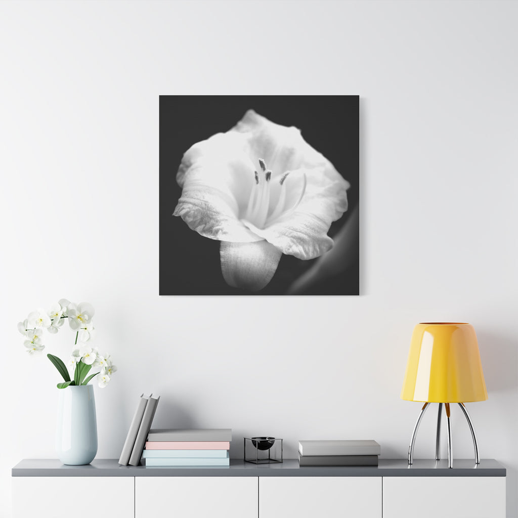 Black and White Lily Photo Canvas
