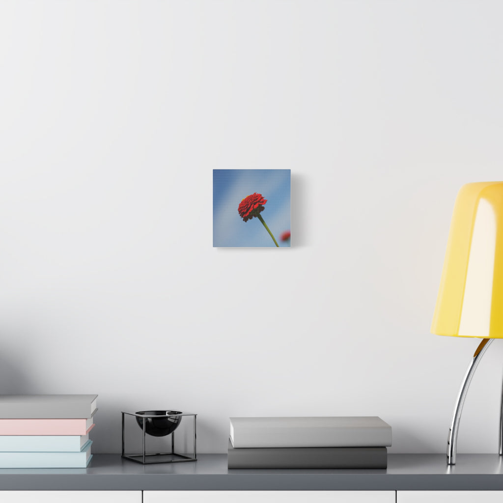 Red Zinnia Bloom Canvas | Stretched Matte Wall Art