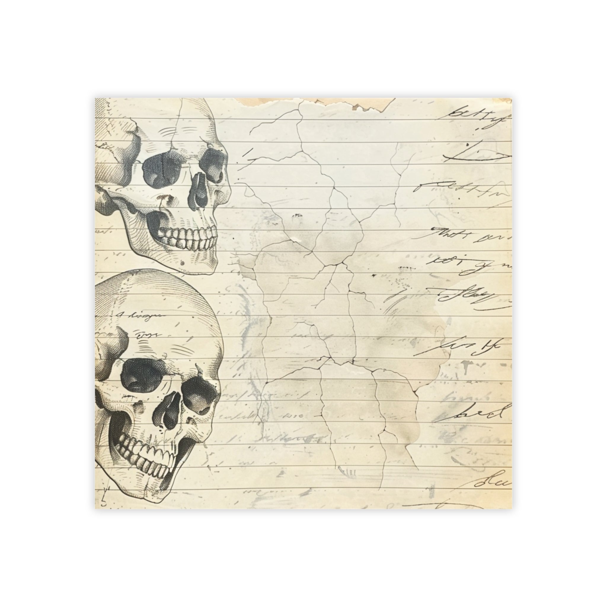 Vintage Skull Illustration Post-it Note Pads | Lined Paper, Antique Script