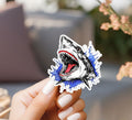 Shark Sticker