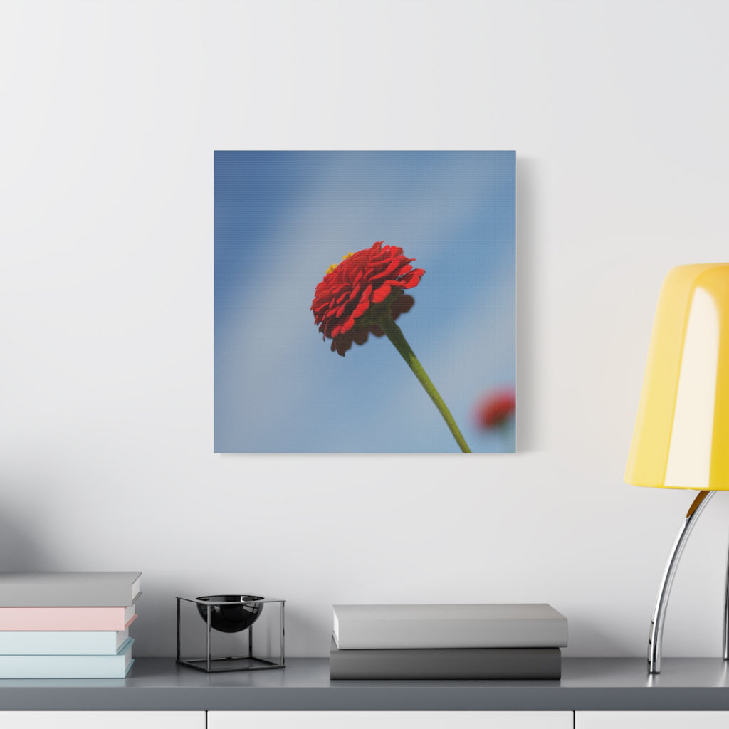 Red Zinnia Bloom Canvas | Stretched Matte Wall Art