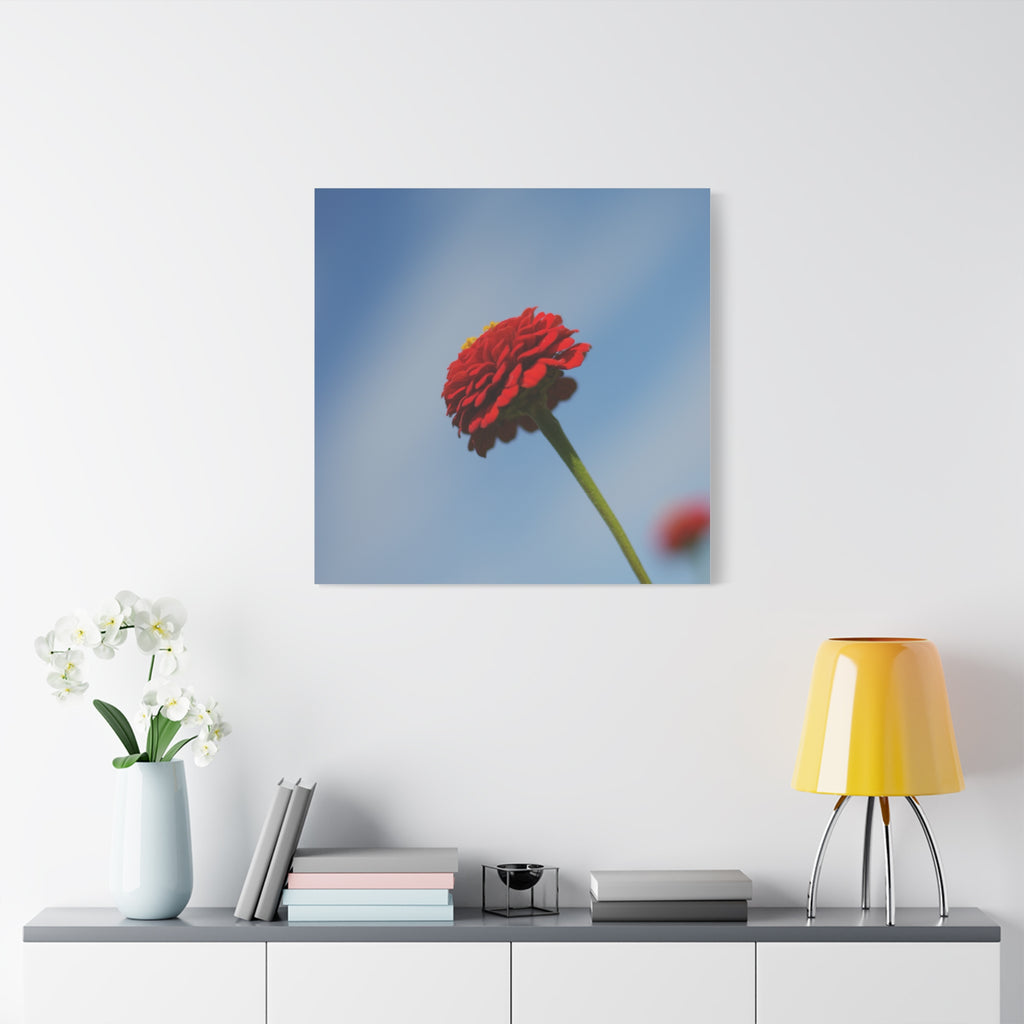 Red Zinnia Bloom Canvas | Stretched Matte Wall Art