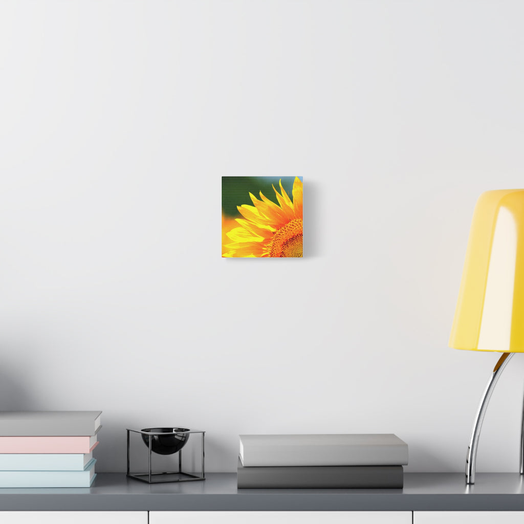 Sunflower Close-Up Matte Canvas