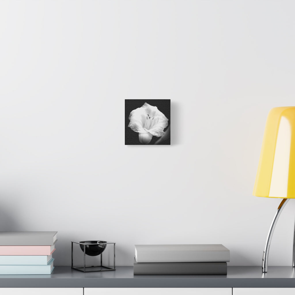 Black and White Lily Photo Canvas