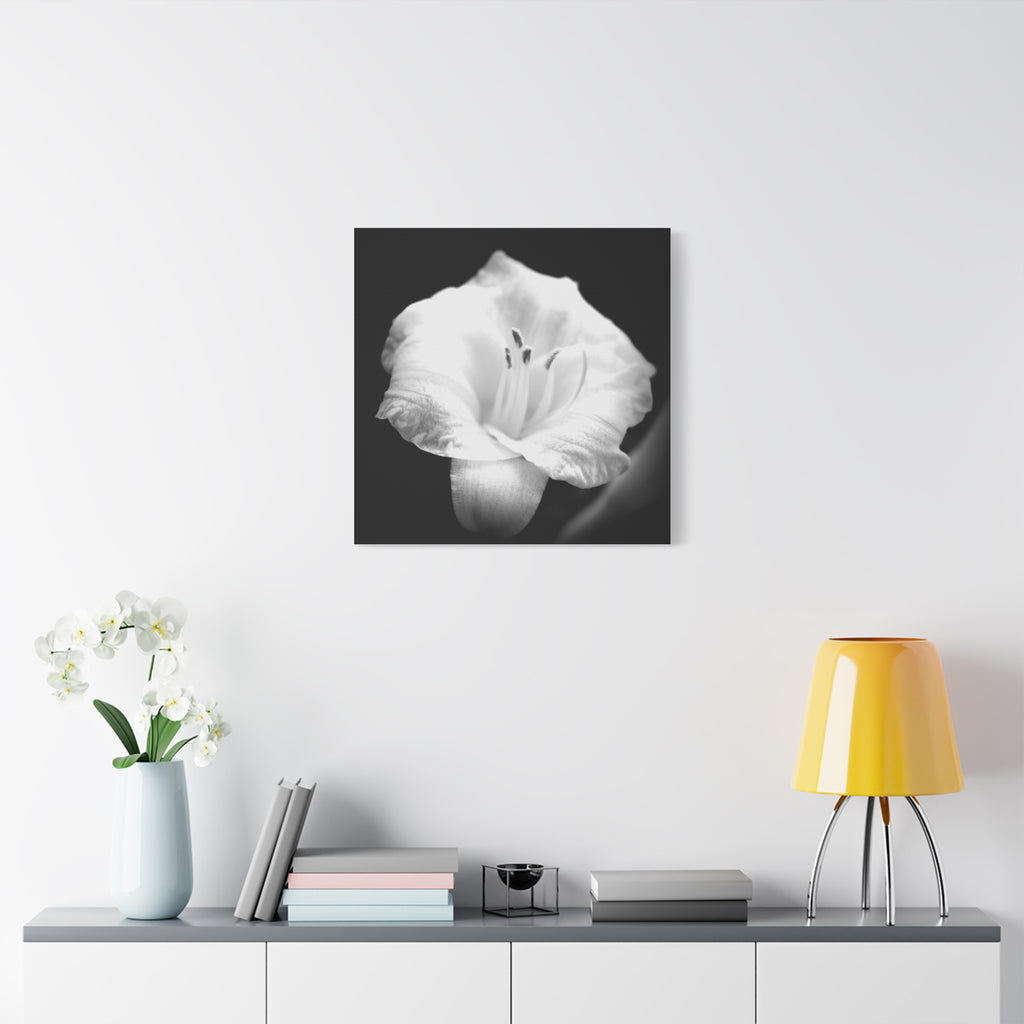Black and White Lily Photo Canvas