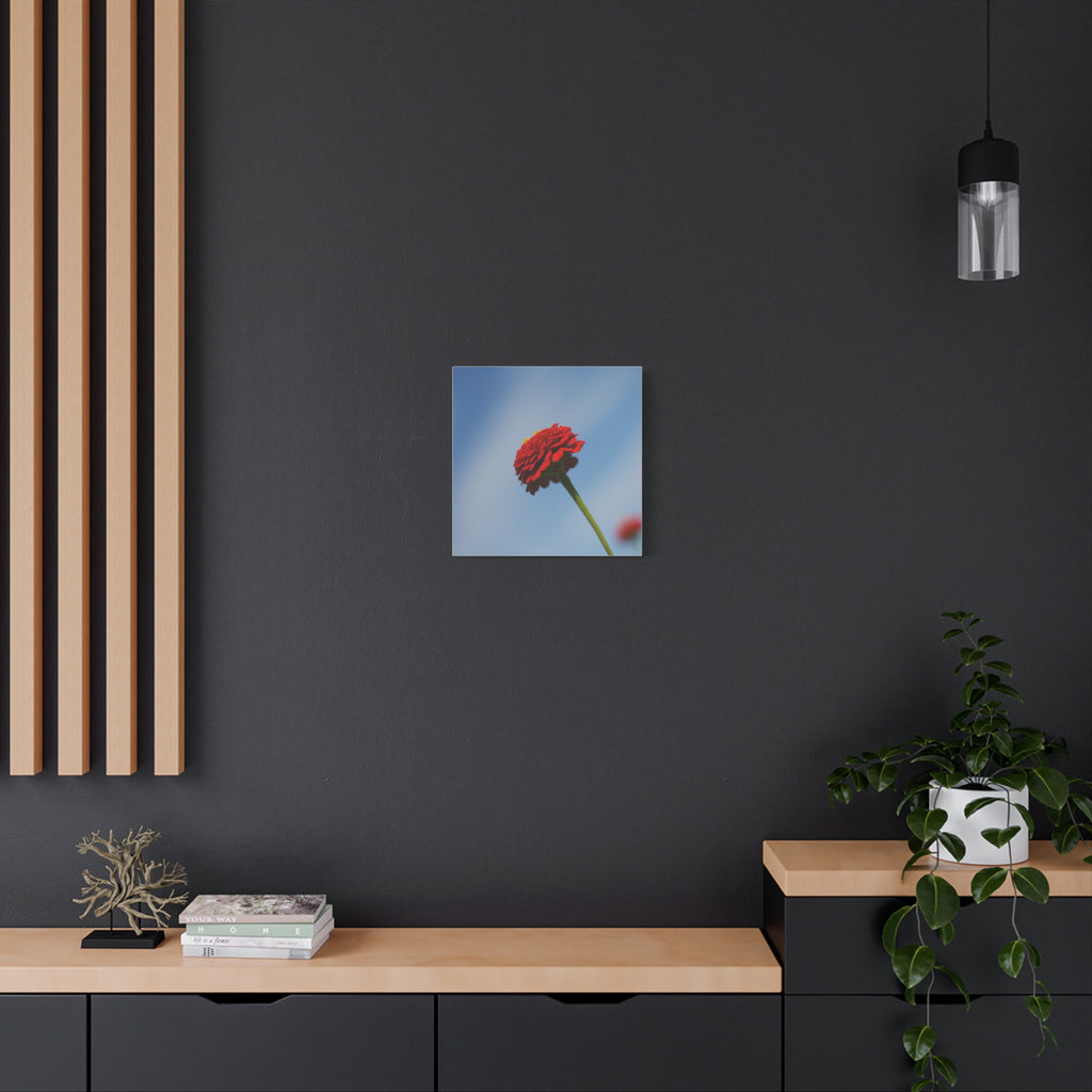 Red Zinnia Bloom Canvas | Stretched Matte Wall Art