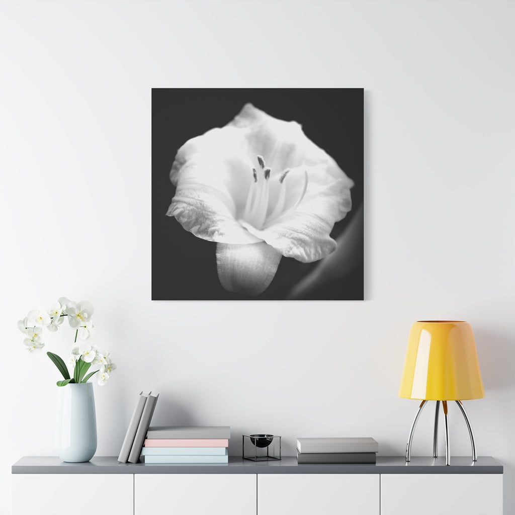 Black and White Lily Photo Canvas