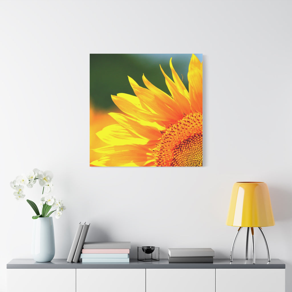 Sunflower Close-Up Matte Canvas